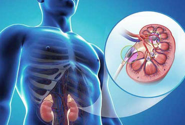 Clinical Nephrology