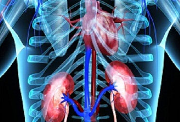 Critical Care Nephrology