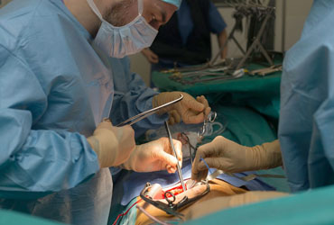 Kidney Transplantation