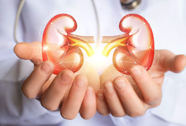 Preventive Nephrology